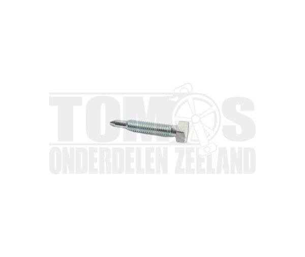 Tomos Carburateur Stationairschroef 10 - 15mm Dellorto SHA