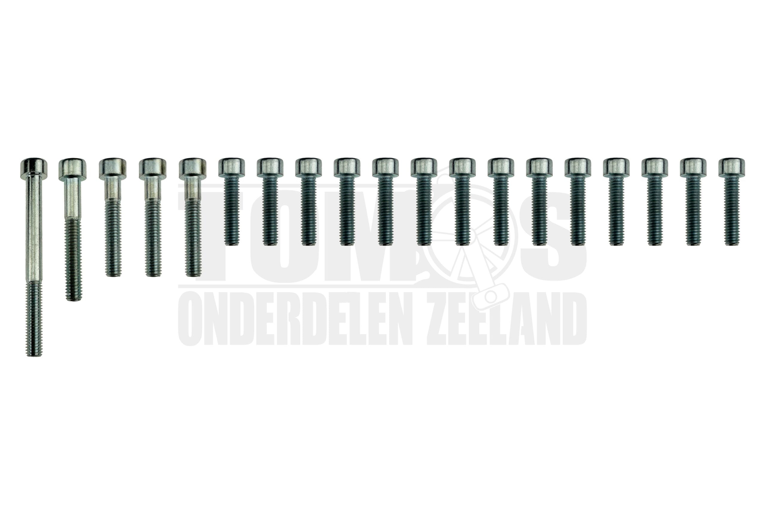 3588 Tomos Motorblok boutenset inbusbout carter compleet 19-delig A35 / A52 / A55