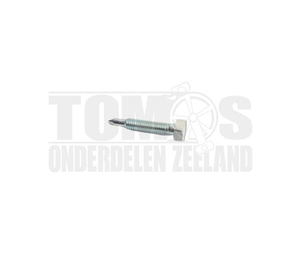 Tomos Carburateur Stationairschroef 10 - 15mm Dellorto SHA