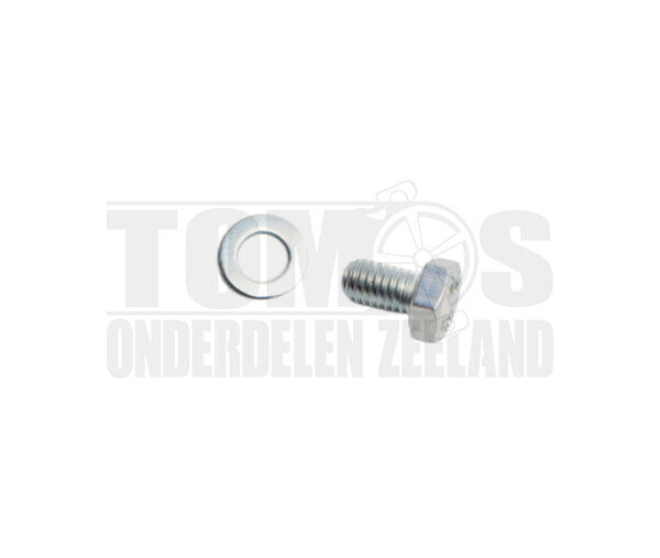 Spruitstuk zeskantbout M6x10 met M6 ring voor afdichting oliepomp