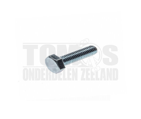 Zeskantbout M6x50 verzinkt