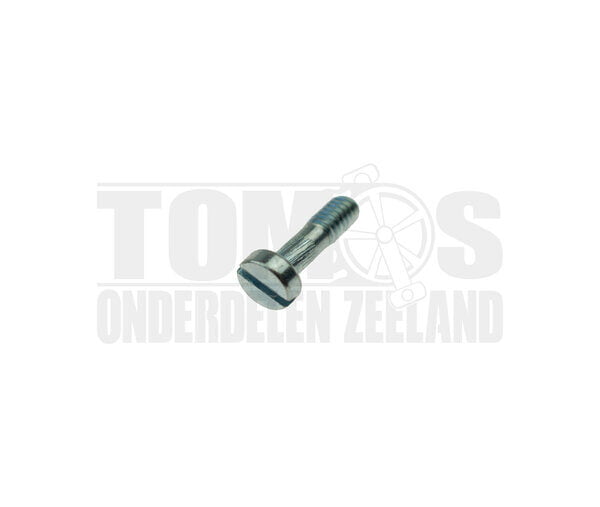 Tomos Carburateur Gasschuifdeksel bout M4x16 Dellorto SHA
